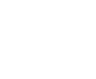 Brussels International Ballet
