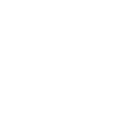 The Royal Danish Ballet